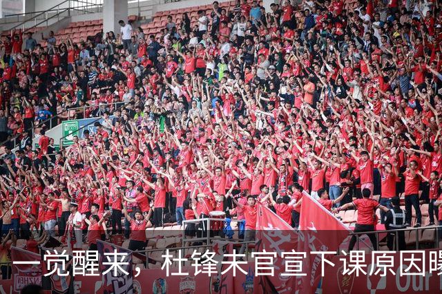 一觉醒来，杜锋未官宣下课原因曝光！徐杰确定留队，陈家政好消息
