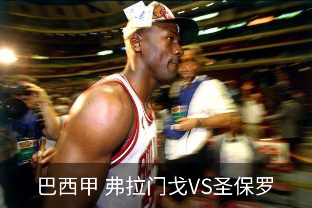 巴西甲 弗拉门戈VS圣保罗