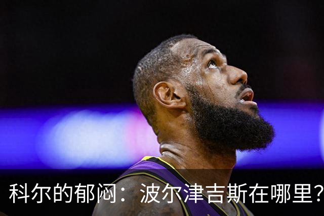 科尔的郁闷：波尔津吉斯在哪里？！